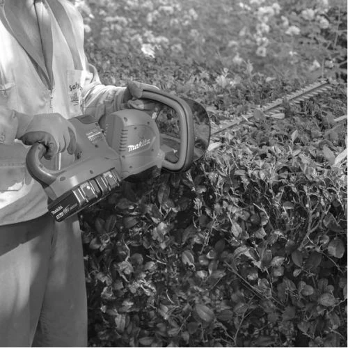 Taille-haie 36 V Makita DUH551RF2, 2 Batteries 3 Ah, Chargeur 4 Taille-haie 36 V Makita DUH551RF2, 2 Batteries 3 Ah, Chargeur – Image 2