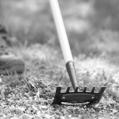 Binette Leborgne NATUROVERT - 467021 4 Binette Leborgne NATUROVERT - 467021 – Image 2