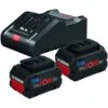 Pack De 2 Batteries Bosch ProCore 18V/8Ah + Chargeur GAL 18V-160 C - 1600A016GP -Promos Outil Boutique AFD 154657