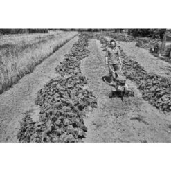 Motobineuse Thermique 4,4kW Stihl MH 600 - 6250-011-3915 8 Motobineuse Thermique 4,4kW Stihl MH 600 - 6250-011-3915 -Promos Outil Boutique AFD 160916