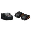 Pack De 2 Batteries 18V Fein ProCORE 4 Ah AMPShare Avec Chargeur - 92604228010 -Promos Outil Boutique AFD 173634