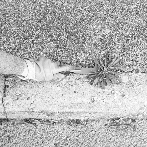 Couteau Grattoir Pour Dalle Mermier Affuté En Acier Avec Manche Ergonomique - 344014 4 Couteau Grattoir Pour Dalle Mermier Affuté En Acier Avec Manche Ergonomique - 344014 – Image 2