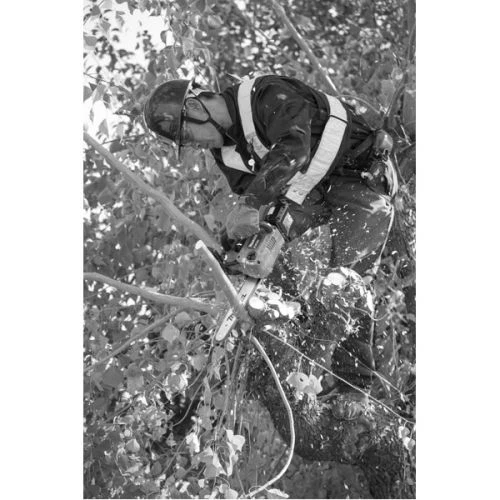 Tronçonneuse D'élagage Sans Fil 18V 25 Cm (sans Batterie Ni Chargeur) - MAKITA - DUC254Z 8 Tronçonneuse D'élagage Sans Fil 18V 25 Cm (sans Batterie Ni Chargeur) - MAKITA - DUC254Z – Image 6